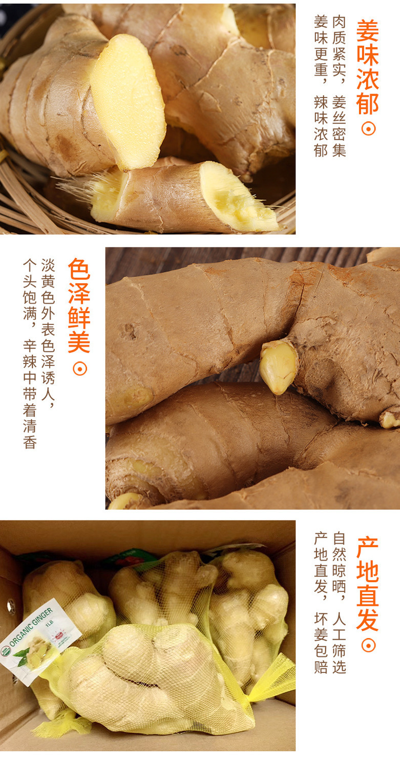 生姜老姜水洗风干无土无泥整片山东大黄姜新鲜现挖110斤2斤精选整片