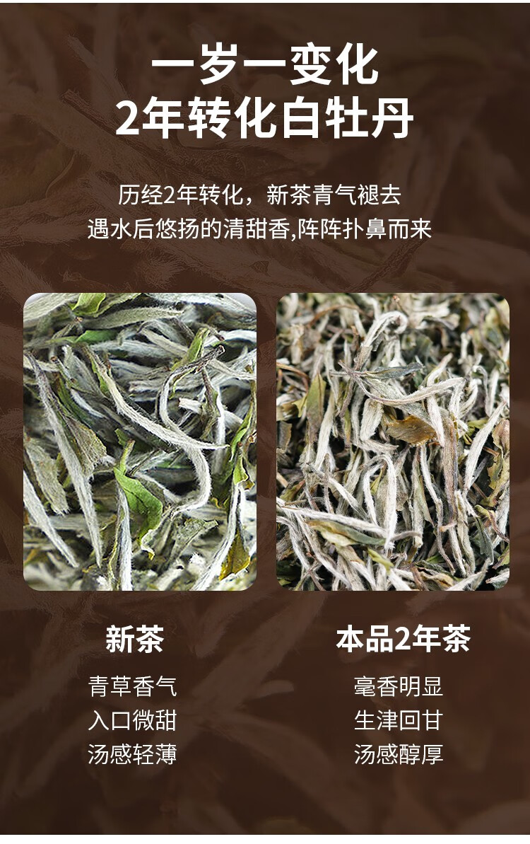 天福茗茶 福鼎白牡丹白茶特级送礼瓷罐礼盒装100克 2年年份【图片