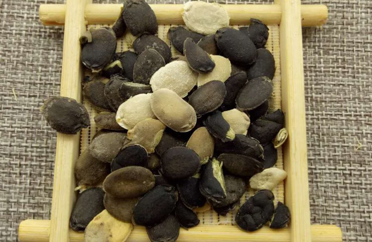 宝椿堂丝瓜子丝瓜籽种子默认发生的中草店铺丝瓜子茶中草 中草原材料