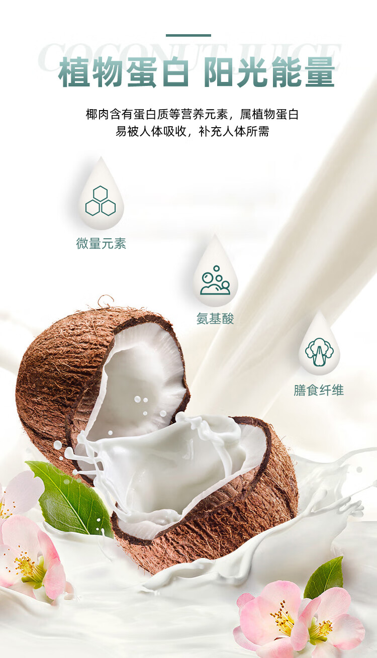 盼盼正宗生榨椰汁植物饮料于小雨代言新鲜整箱椰奶500ml15瓶生榨椰子