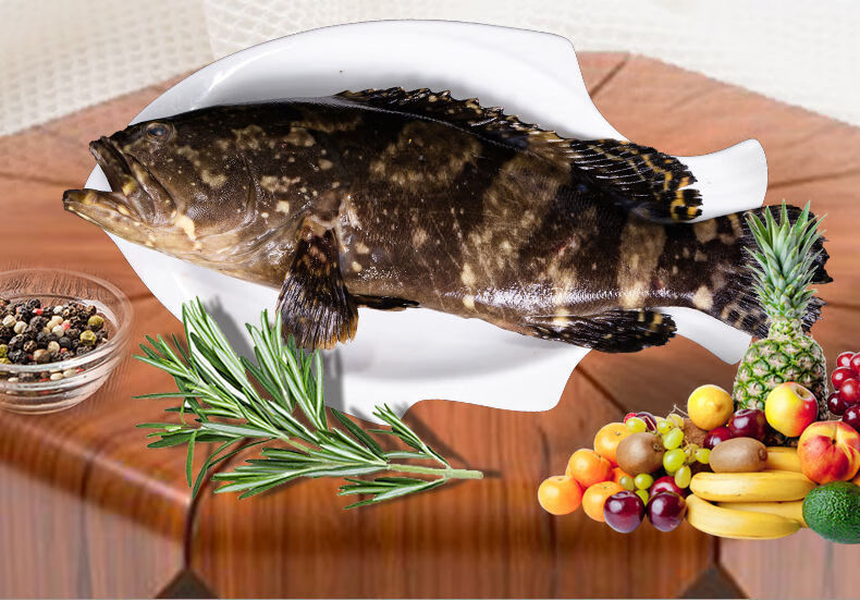 东山岛冷冻石斑鱼深海龙胆石斑鱼海捕海鲜水产新鲜海鱼鲜活捕捞中等