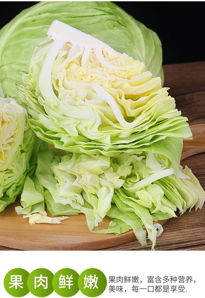 新鲜绿甘蓝卷芯包菜莲花白当季农家蔬菜洋白菜疙瘩白卷心 1500g【图片