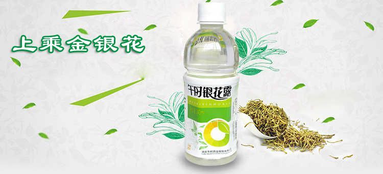 午时金银花露340ml湖北午时银花露金银花露饮料整箱儿童大人7瓶340ml
