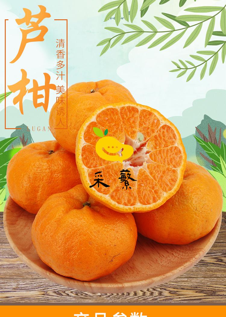 永春芦柑广告图片