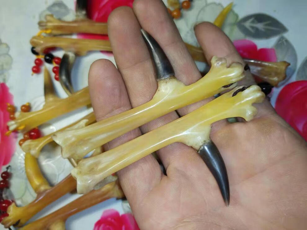 高品质土鸡文玩鸡蹬子鸡爪骨手把件盘玩鸡拐子冷门文玩男士随身把玩抓
