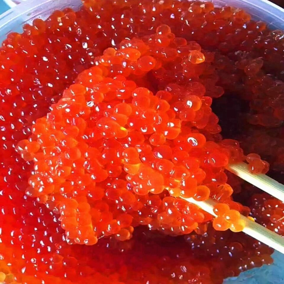 大马哈鱼籽东北特产黑龙江省抚远天然大马哈鱼籽酱100克 大马哈鱼籽