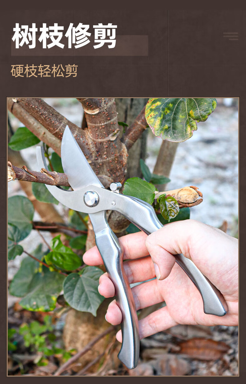 绿化剪刀不锈钢强力树枝剪园林剪刀果树粗枝剪园艺修花盆景修枝剪花艺