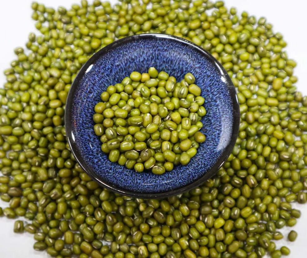 东北绿豆特大粒绿豆绿豆王易煮易烂易开花五谷杂粮批发臻品东北绿豆5