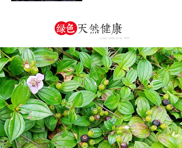 严选好物天然野生地稔果泡酒养生地菍果地茄子铺地锦山地菍地石榴250g