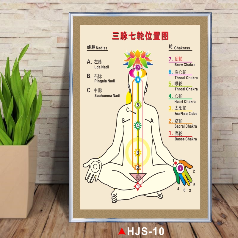 三脉七轮位置图人体七轮图经络生命能量中脉七轮瑜伽挂图水晶石疗法和
