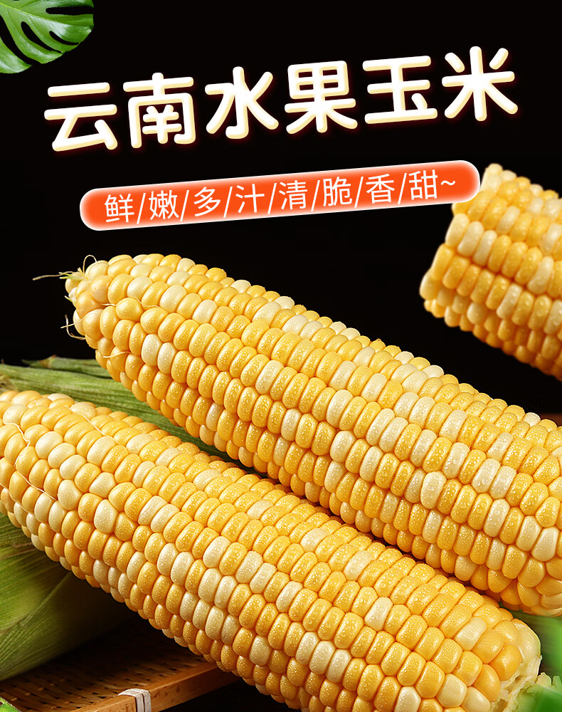 雲南特產新鮮水果玉米甜即食生吃甜脆玉米9斤裝 5斤【圖片 價格 品牌