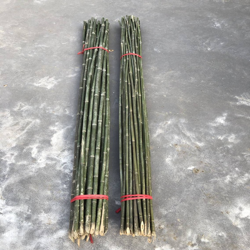 竹竿菜园搭架户外竹杆架种菜彩旗杆豆角架黄瓜架菜架小竹子细竹竿 2