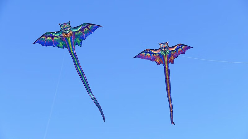 龙形风筝恐龙风筝儿童2022新款专用成人大人大型初学者微风易起家用