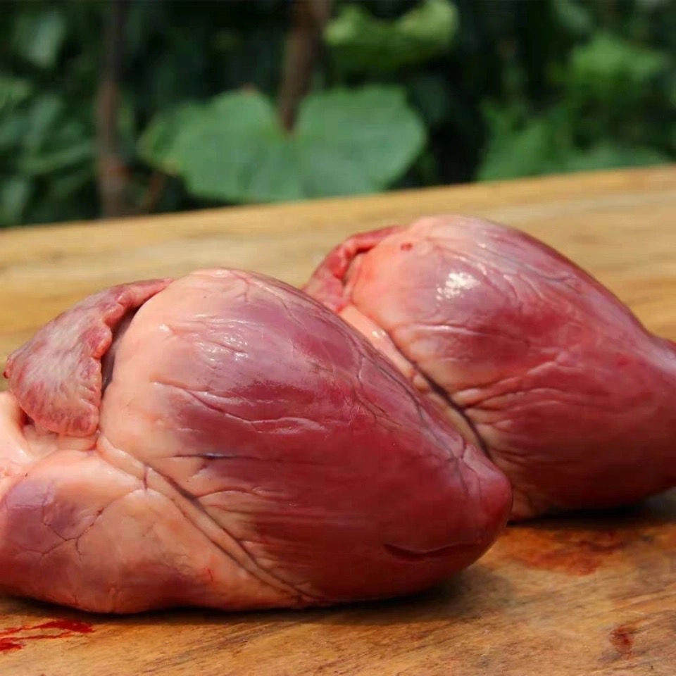 新鲜猪心2-4斤猪心生猪内脏猪心脏饭店食堂家庭食材 福茹洲 5斤装