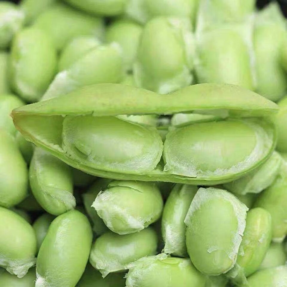 四川新鲜毛豆农家蔬菜现摘新鲜毛豆荚带壳青豆绿豆荚大豆毛豆3斤装