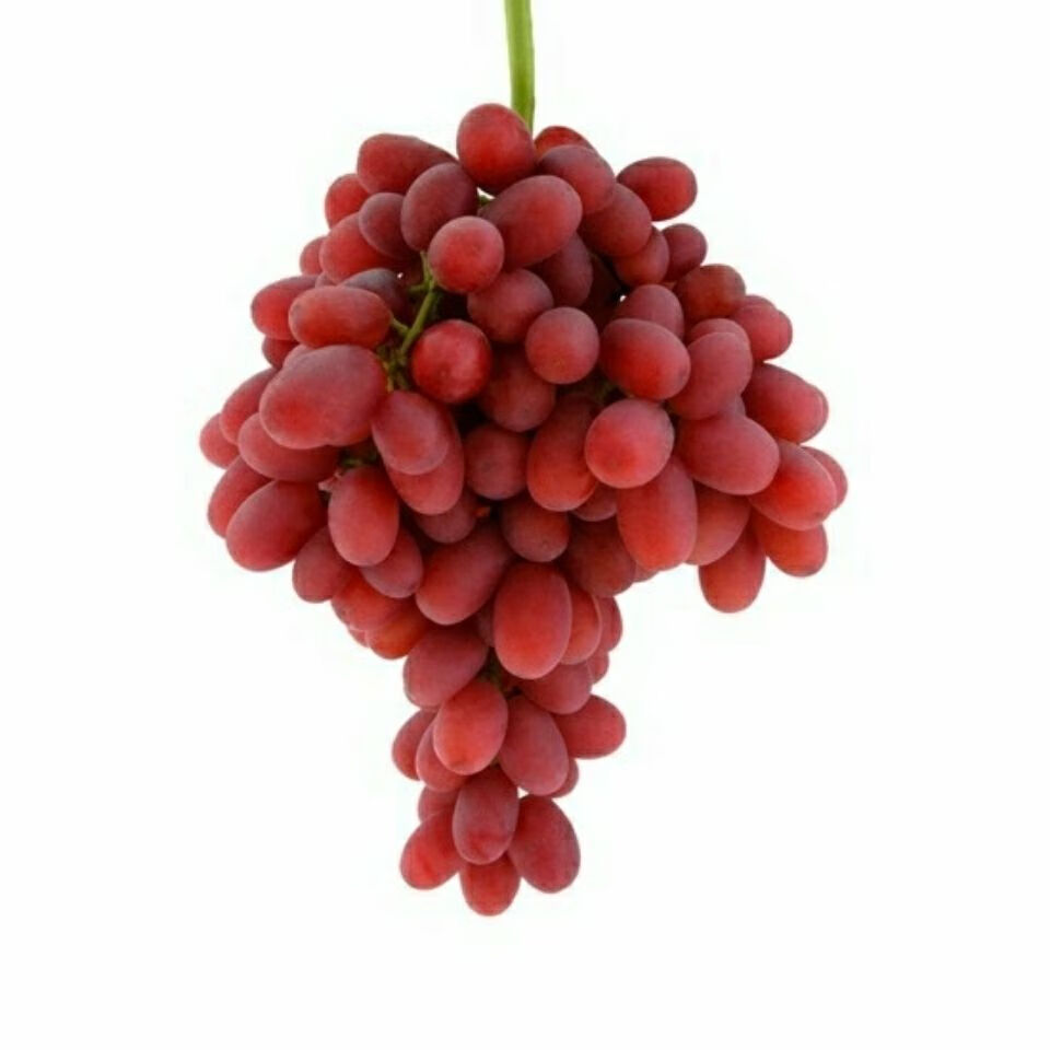 无籽提子葡萄玻璃脆甜现摘克伦生红提4斤