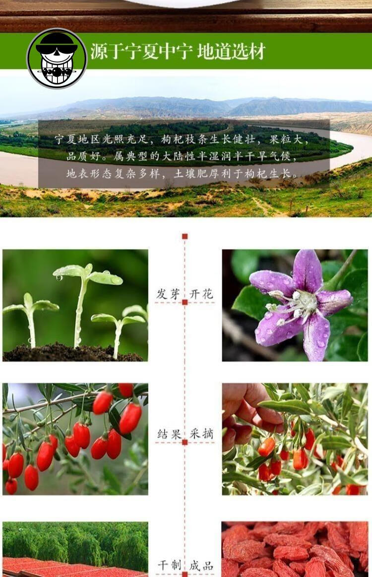 【买1加3】枸杞正宗宁夏中宁枸杞子红枸杞补泡水100g500g 新货农家大