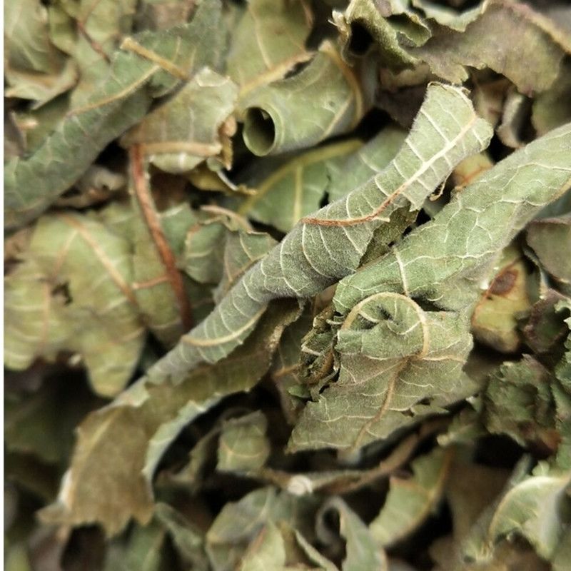 无花果叶 无花果树叶子 新鲜无花果叶子 500g【图片 价格 品牌 报价】