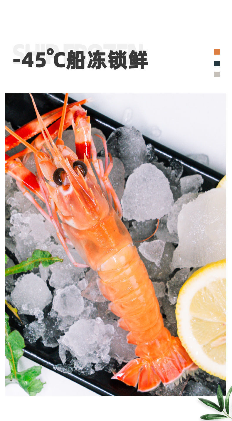 顺丰空运海鳌虾深海小龙虾新鲜铁甲虾速冻日料刺身海捕鳌虾批发3斤装