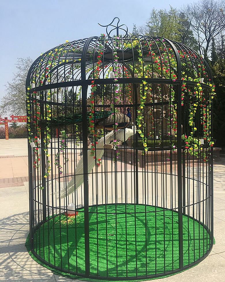 特大号加网鸟笼八哥虎皮鹦鹉画眉户外大型孔雀养鸟笼 80x80x200(加网)