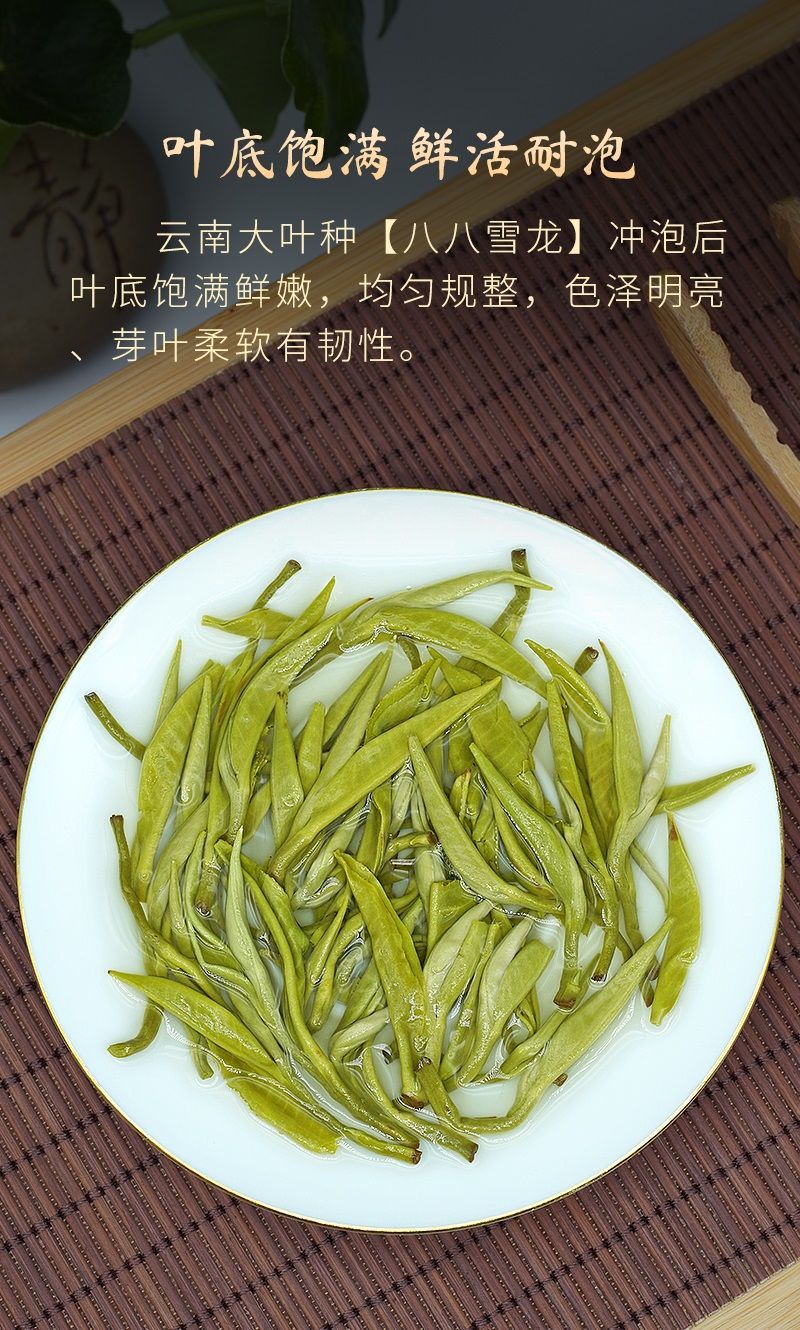 八八雪龙绿茶2022新茶特级明前云南春尖绿茶叶毛峰浓香型500g散装500