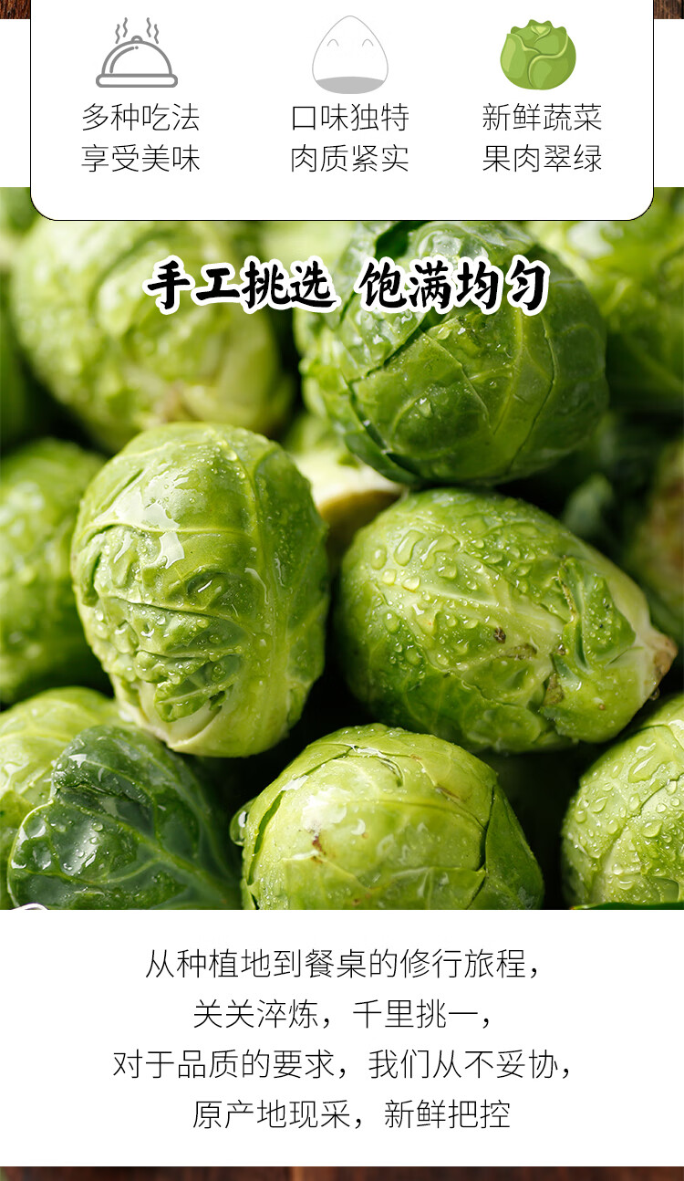 小包菜叶菜类沙拉菜500g迷你甘蓝蔬菜【图片 价格 品牌 报价】