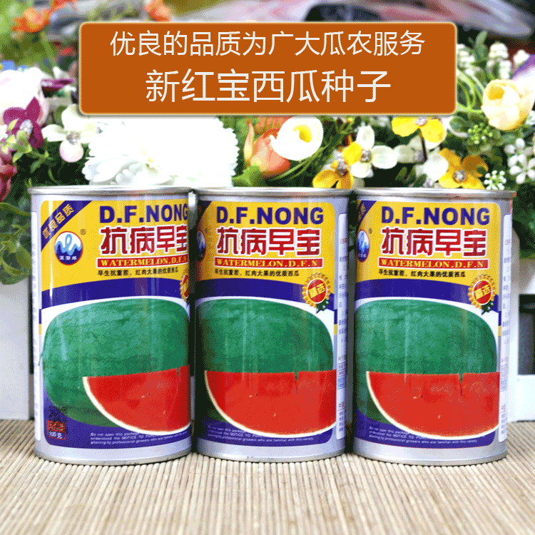 特大新红宝西瓜种子绿皮西瓜种抗病早宝早熟红心甜赣新红宝原装50克