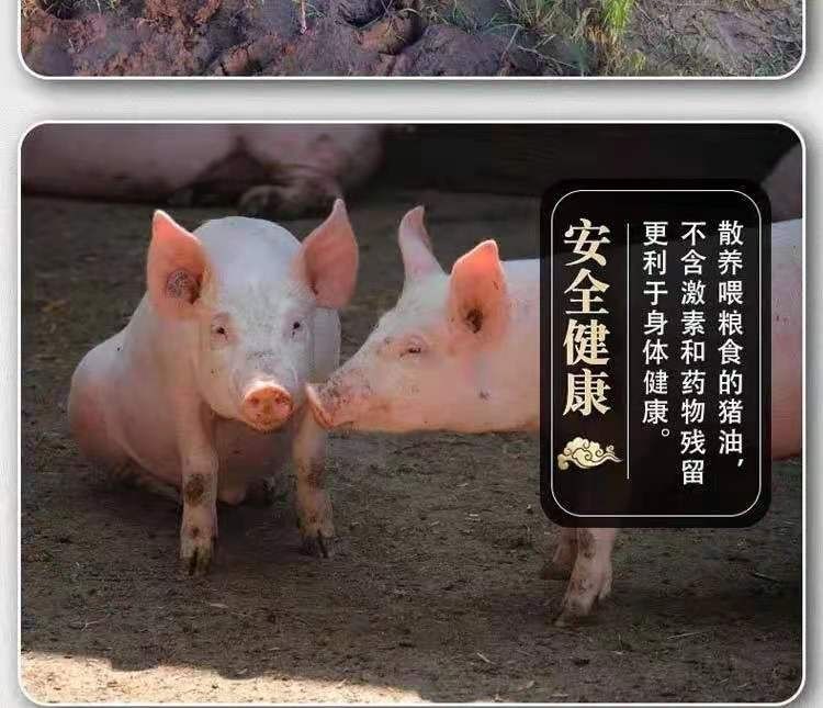 猪肉生鲜新鲜猪板油猪大油食用猪油肥膘油猪荤油生猪