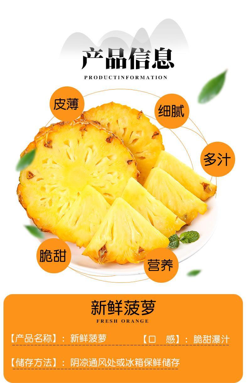 (广东直发)广东湛江徐闻香水菠萝凤梨新鲜水果当季波萝特产现摘 5斤