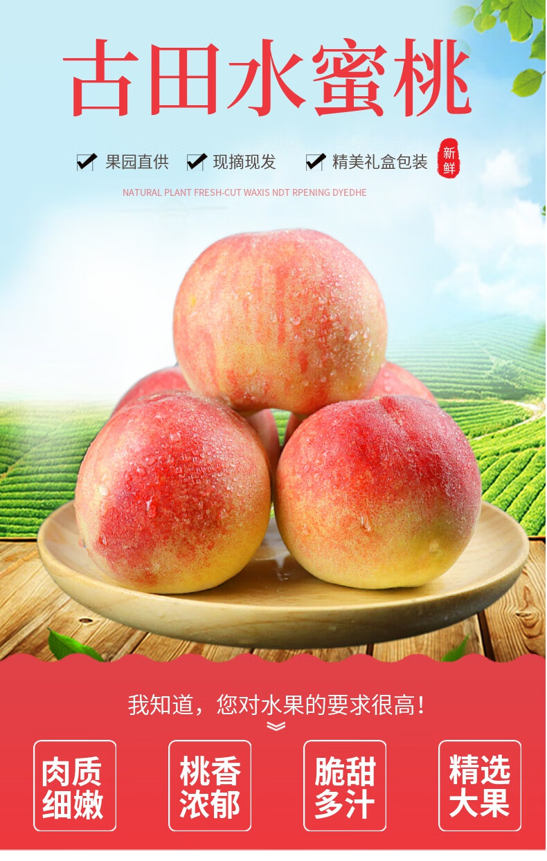 福建古田水密桃白凤大桃子脆甜桃当季孕妇新鲜水果现摘10斤整箱礼