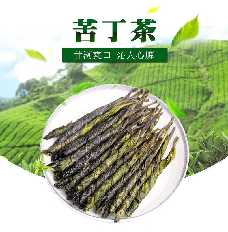 3罐苦丁茶葉苦丁茶大葉2022新茶廣西大新茶非苦丁茶1罐蒲公英葉1罐