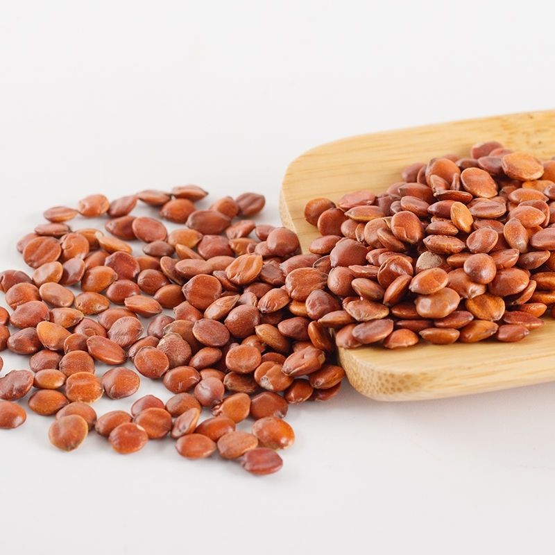 中药材生酸枣仁炒酸枣仁酸枣仁粉助眠茶250/500克 炒酸枣仁250克