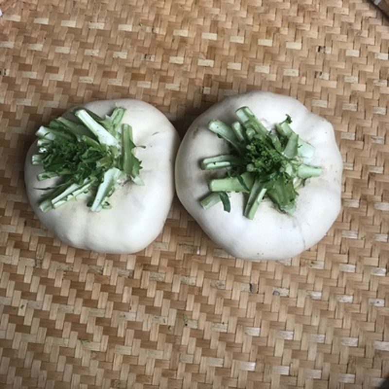 温州特产新鲜盘菜鲜嫩盆菜头食用扁萝卜乐清菜场新鲜发货5000克10斤