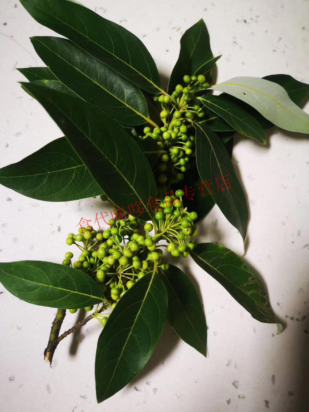 青樱红荔木姜子酱新鲜云南山胡椒蒜泥小米辣临沧特产木桨子250克