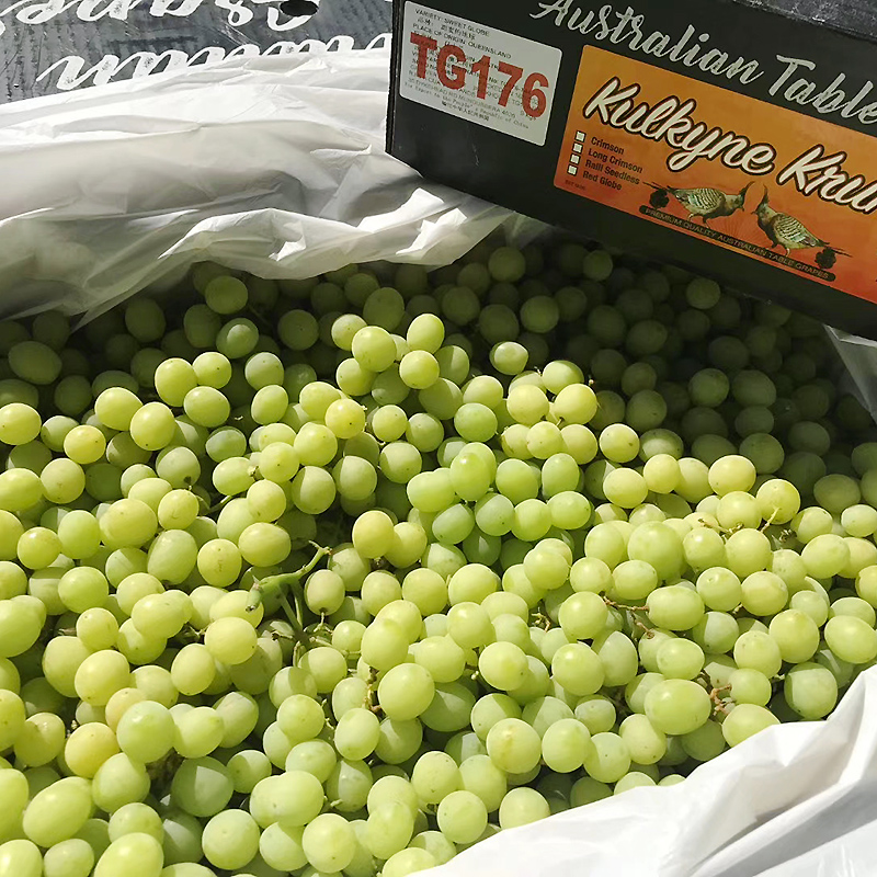 现货速发 澳大利亚进口甜地球秋天酥无籽青提2斤装葡萄新鲜水果提子