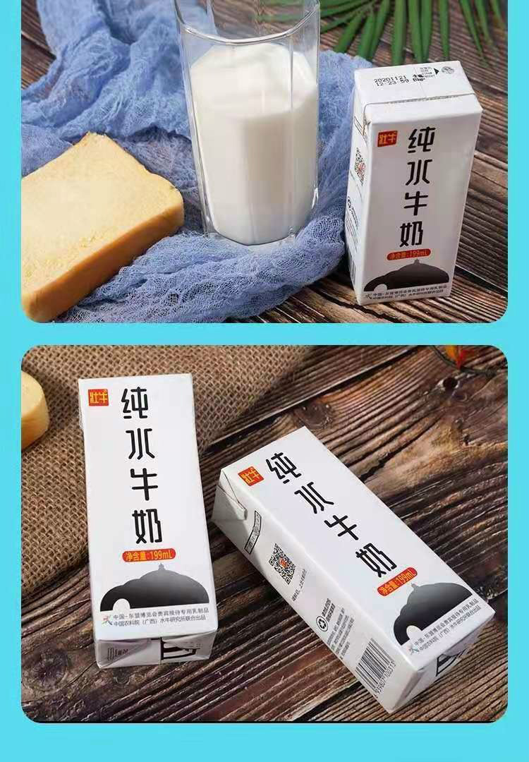 壮牛水牛奶199ml12整箱广西壮牛水牛奶农科院纯牛奶孕妇儿童营养早餐