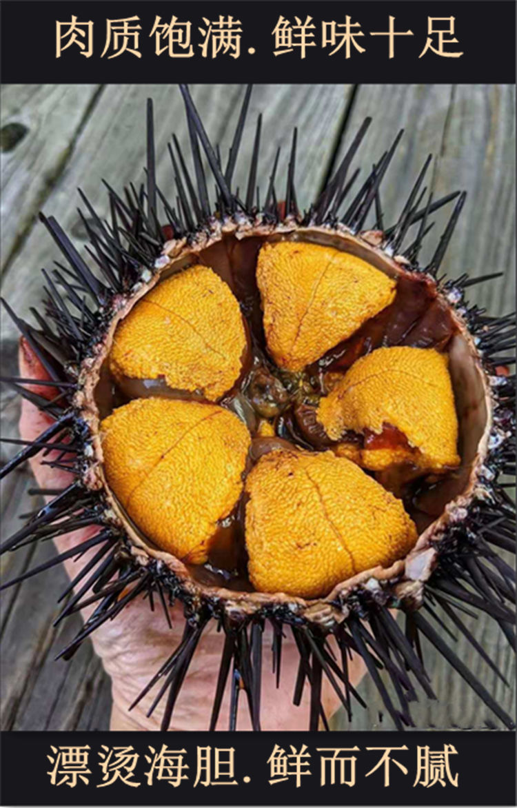 广东马粪海胆黄肉海鲜大全水产鲜活漂烫冷冻炒饭料理 家庭200g【图片