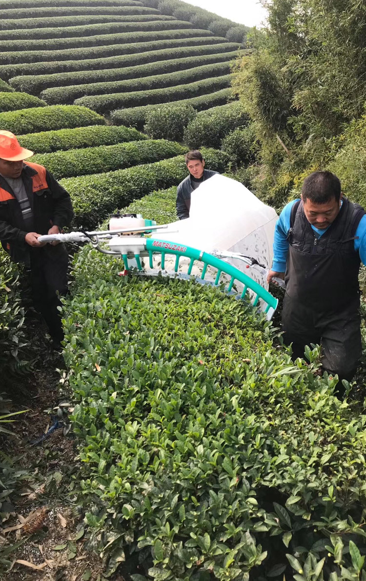 机集茶袋 采茶机专用袋采茶机集叶袋双人采茶机布袋单人电动采茶机