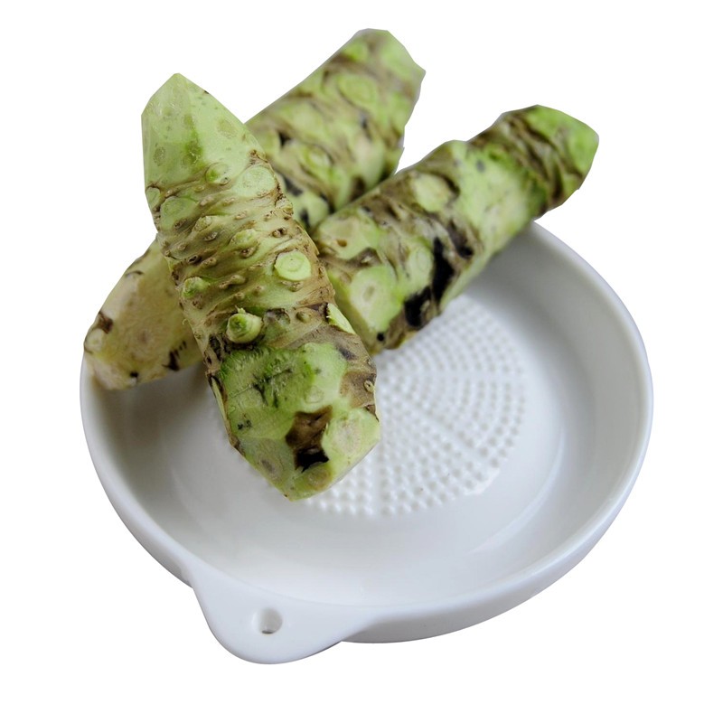 云南新鲜山葵 鲜山葵 芥末根 大菜园寿司芥末原材料[按顺序发货,不接