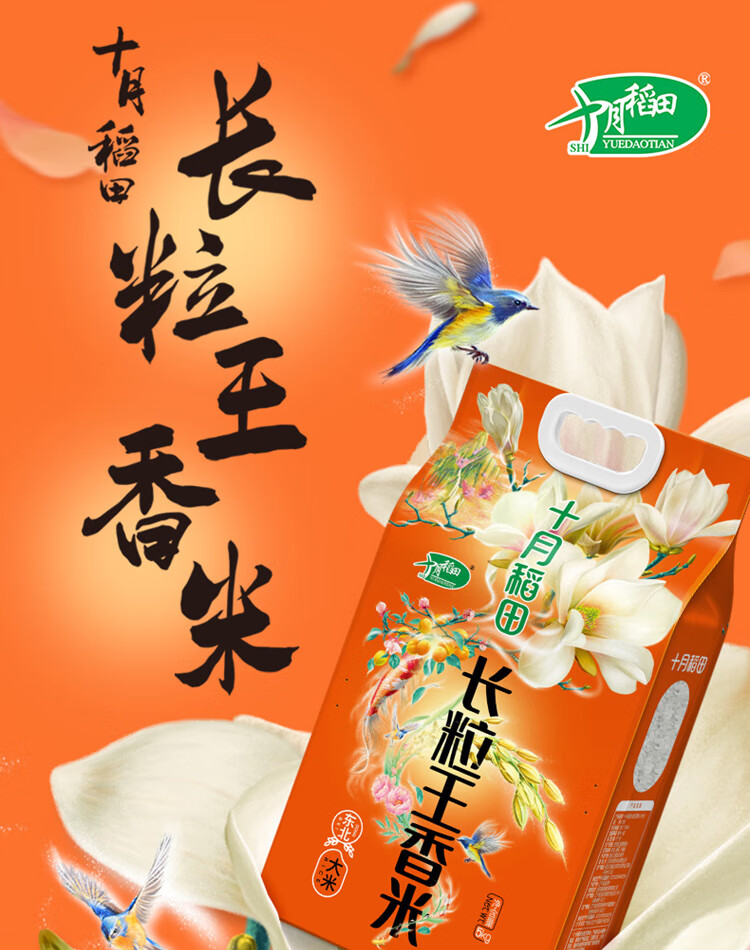 【厂家直供】当季新米 十月稻田 长粒王香米 长粒香大米 5kg 东北大米