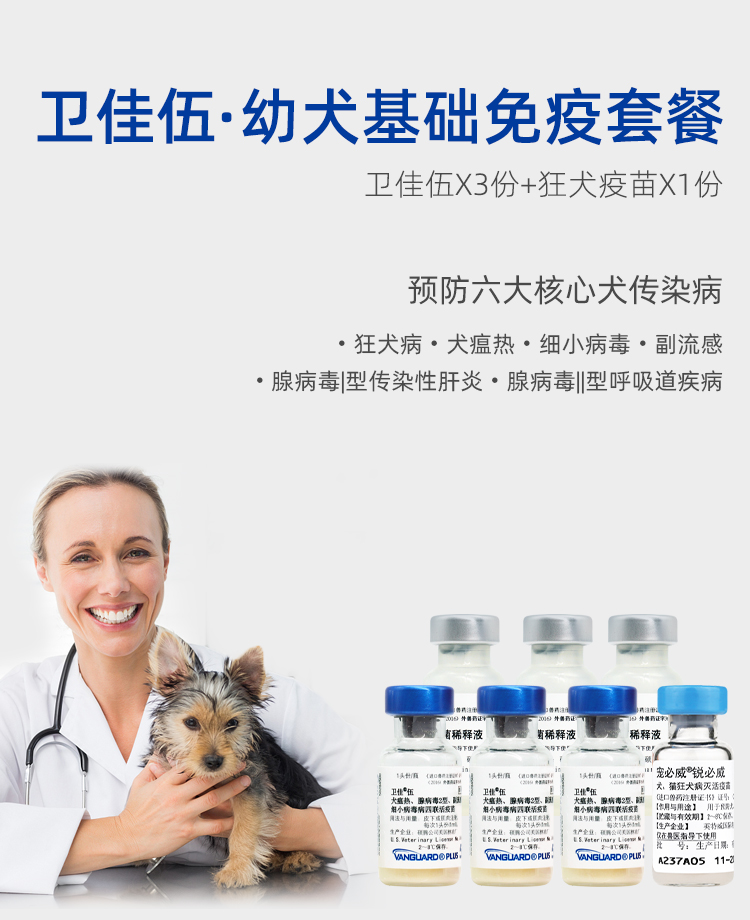 顺丰速运辉瑞硕腾狗狗狂犬疫苗四联疫苗卫佳五卫佳伍狂犬病犬瘟细小