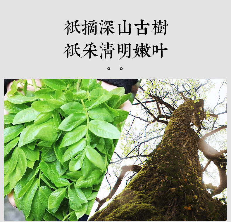 偉博高品質修水正宗野生青錢柳茶嫩葉泡水養生茶青錢柳葉青錢4盒500克