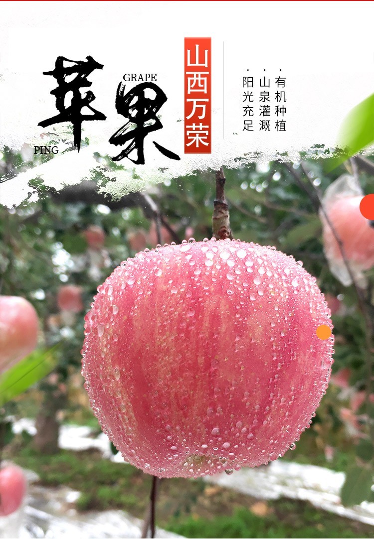 山西万荣雪果新鲜苹果冰糖心红富士应季孕妇宝宝水果精品礼盒装过节