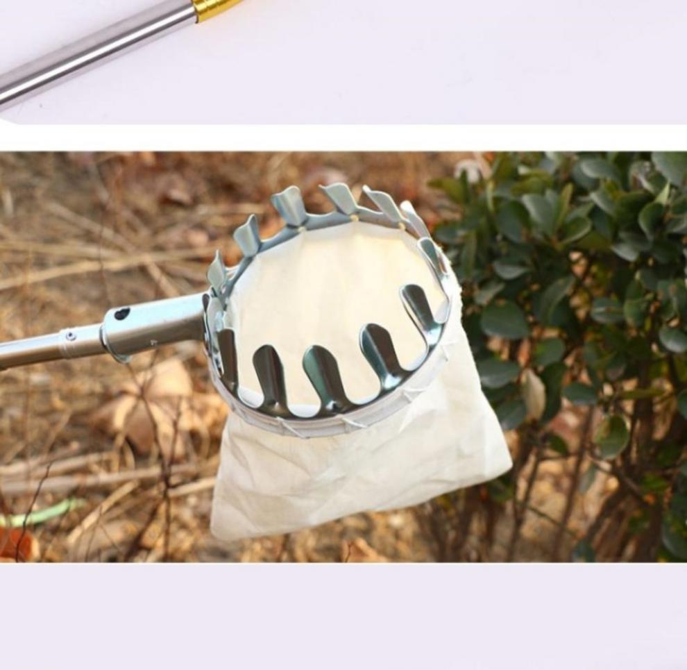 摘果器伸缩杆高空摘果器水果采摘神器伸缩杆多功能摘柿子苹果杨梅芒果