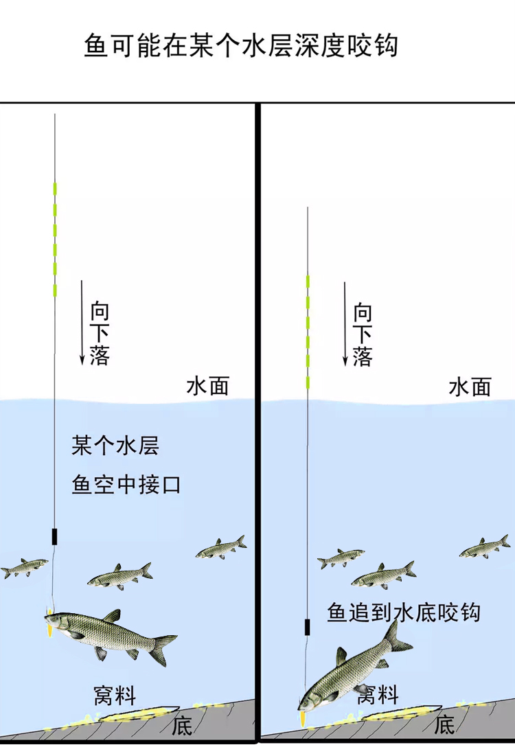 谷麦一杆天下谷麦饵兄弟野钓鱼饵打窝料玉米包谷 绿色谷麦(果香)草鱼