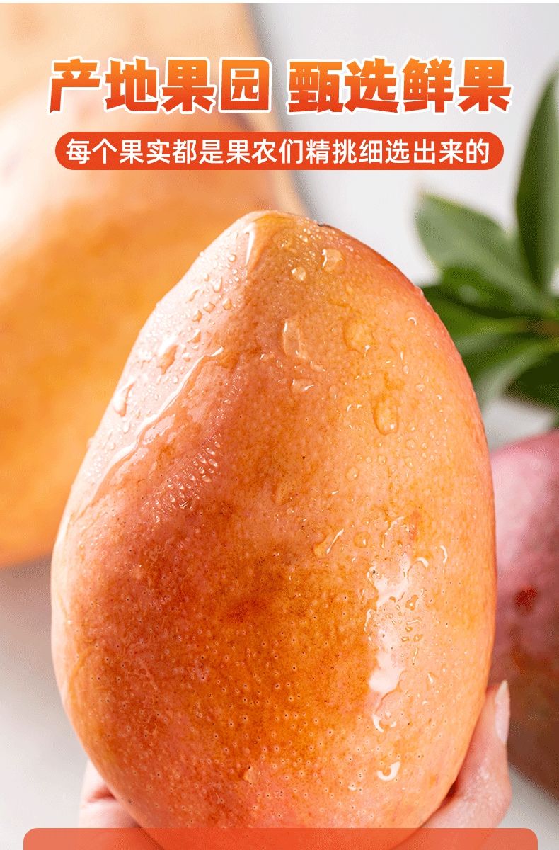 海南红玉芒玉文芒红皮芒果新鲜水果红玉芒910斤很多很大纸箱普通装