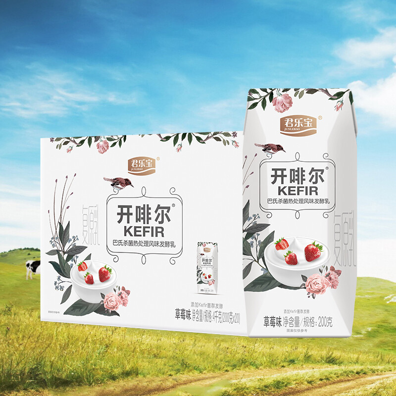 开菲尔酸奶 原味草莓味常温酸奶开菲尔8种益生菌发酵 10杯原味 10杯