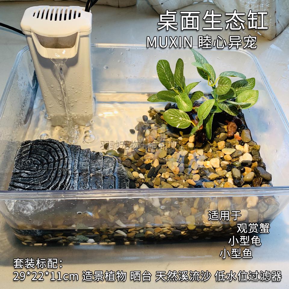 养螃蟹的缸螃蟹饲养箱宠物沙蟹饲养盒招潮蟹辣椒蟹寄居蟹海蟹中华沙蟹