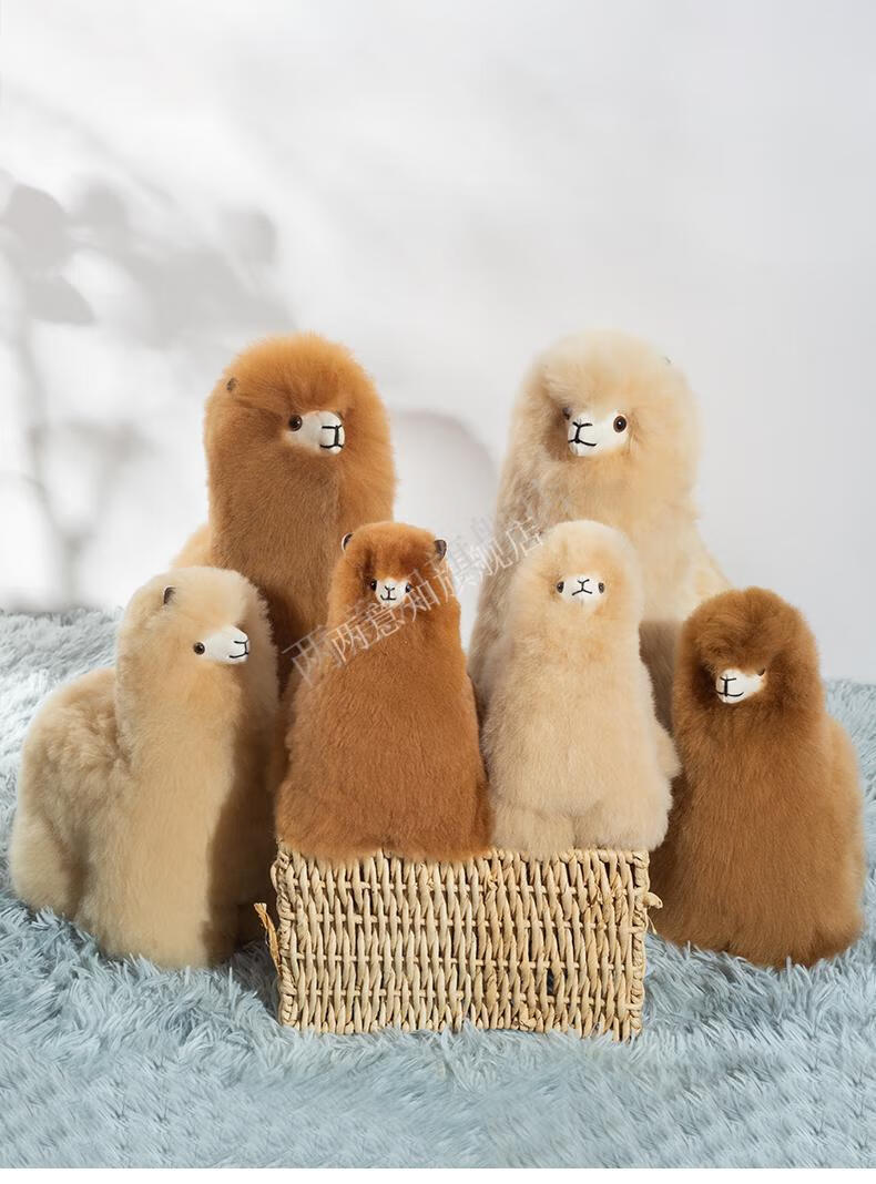 秘鲁羊驼2022新款羊驼毛公仔玩偶 秘鲁进博会儿童毛绒玩具 warmpaca