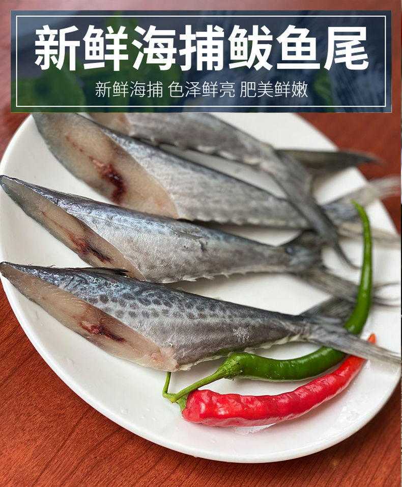 顺丰速运鲅鱼尾新鲜燕鲅鱼大马鲛鱼馅饺子海鱼海鲜冷冻批发湾钰蜜精品